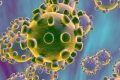 Ecco quali sono i sintomi del coronavirus