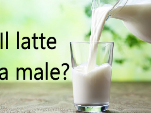 Il latte fa male? Bere latte causa osteoporosi o fa bene alle ossa?