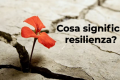 Cosa significa resilienza? Da dove deriva questo termine?