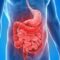 Morbo di Crohn: cos'è, quali sono i sintomi e come si cura