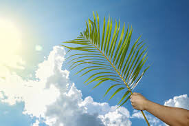 Origine e significato della Domenica delle palme